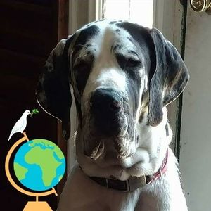 Meet your Posher, Tom